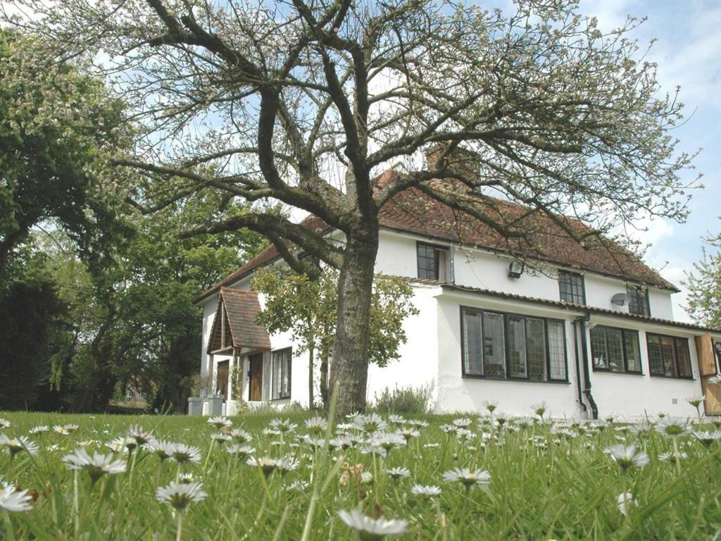 The White House Bed and Breakfast Takeley Δωμάτιο φωτογραφία